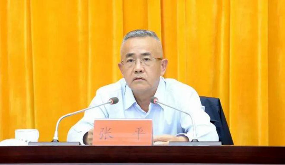 張平(1).jpg